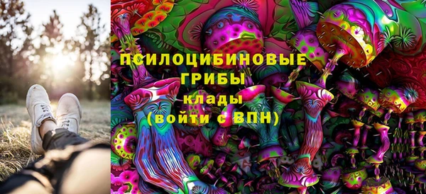 прущая мука Алексин